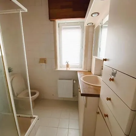 度假居 Big Sunset 2 Bedroom House With A Garden 安特卫普